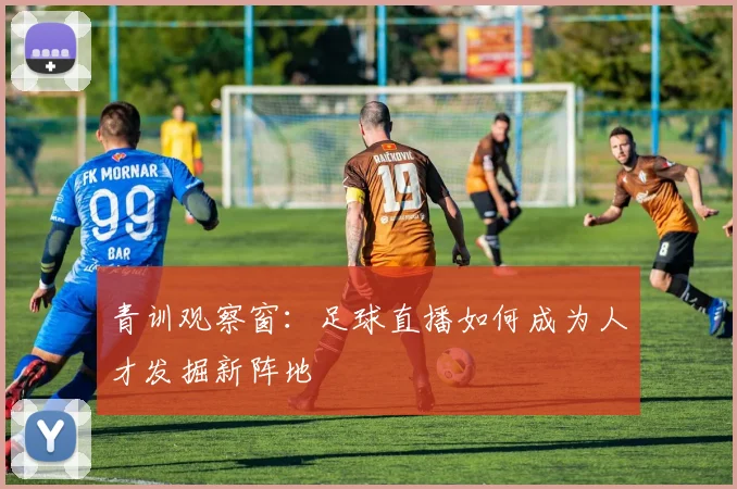 青训观察窗：足球直播如何成为人才发掘新阵地