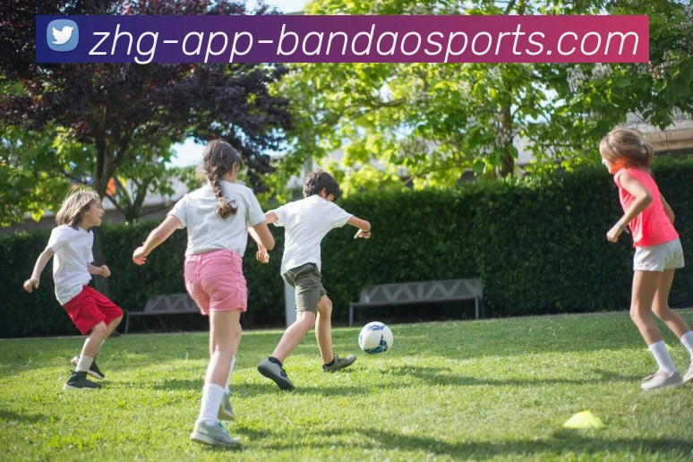 半岛体育APP 高清赛事图