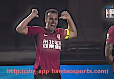 半岛体育app-法甲2024赛季各支球队整体防守表现全面解析
